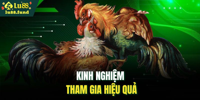 Kinh nghiệm tham gia hiệu quả