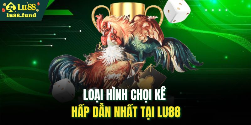 Loại hình chọi kê hấp dẫn nhất tại Lu88
