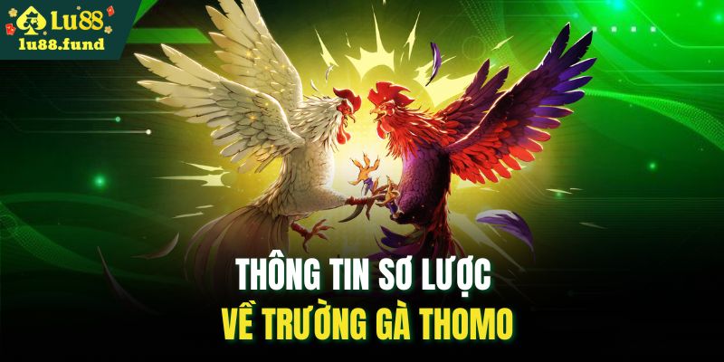 Thông tin sơ lược về trường gà Thomo