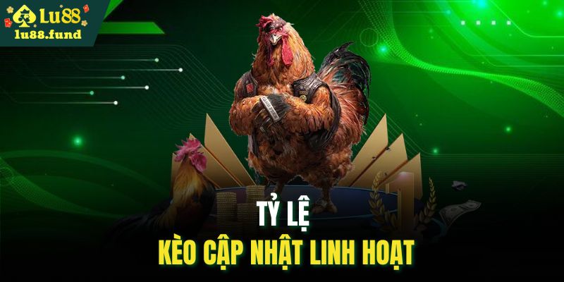 Tỷ lệ kèo cập nhật linh hoạt
